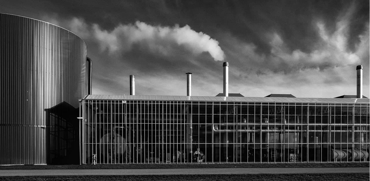 greenhouse_black_and_white.jpg